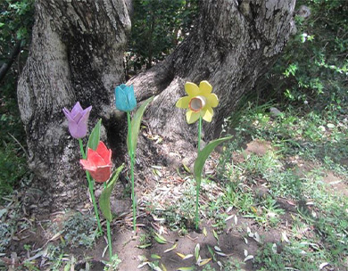 אוצרות קהילתית: פורחים בגיל